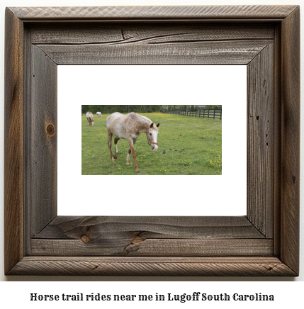 horse trail rides near me in Lugoff, South Carolina